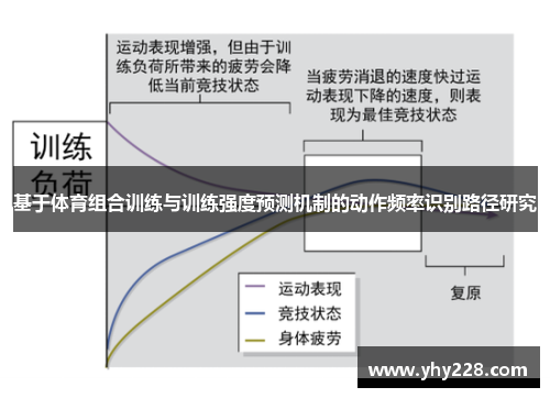 基于体育组合训练与训练强度预测机制的动作频率识别路径研究